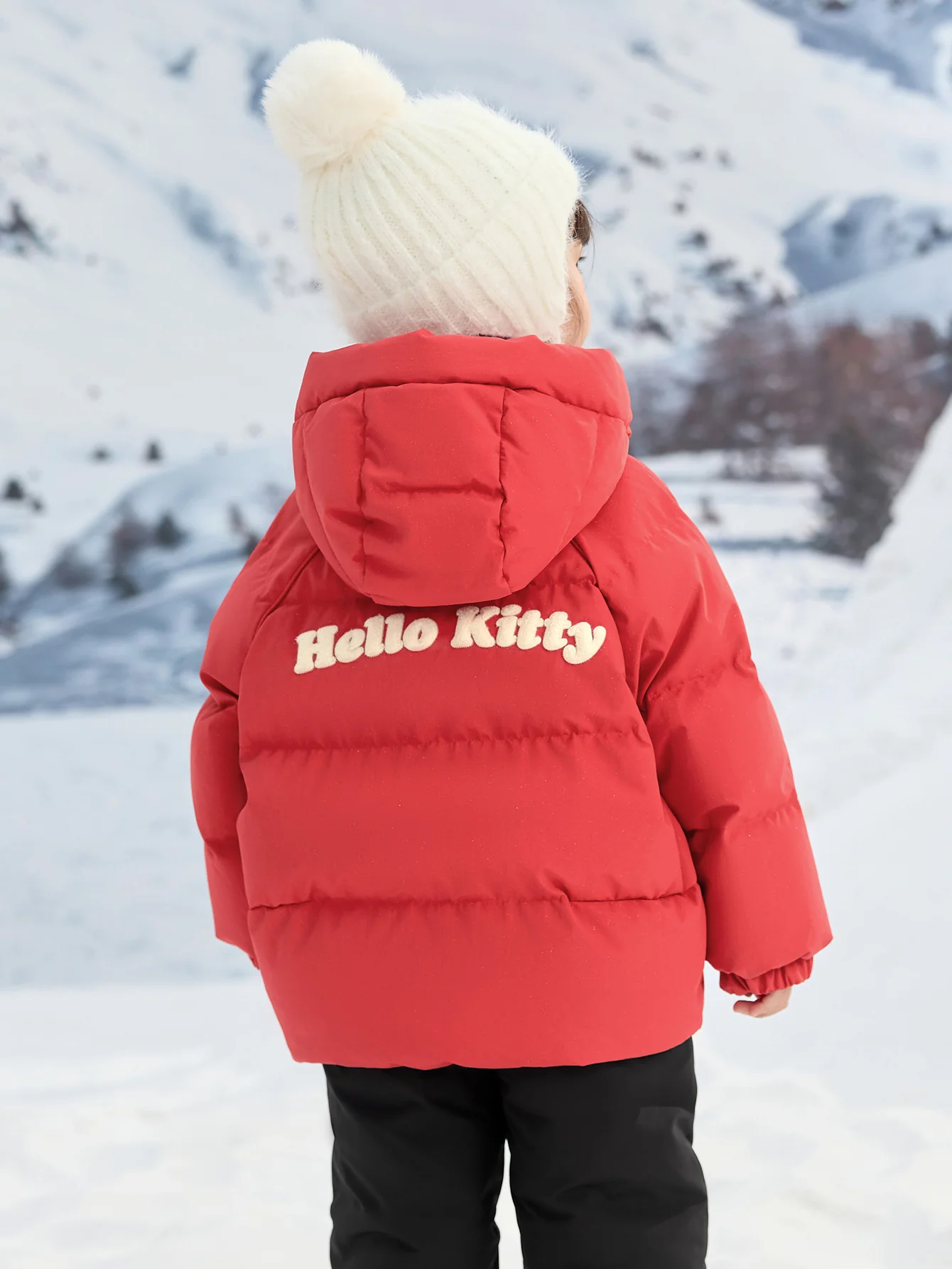 Product image 33